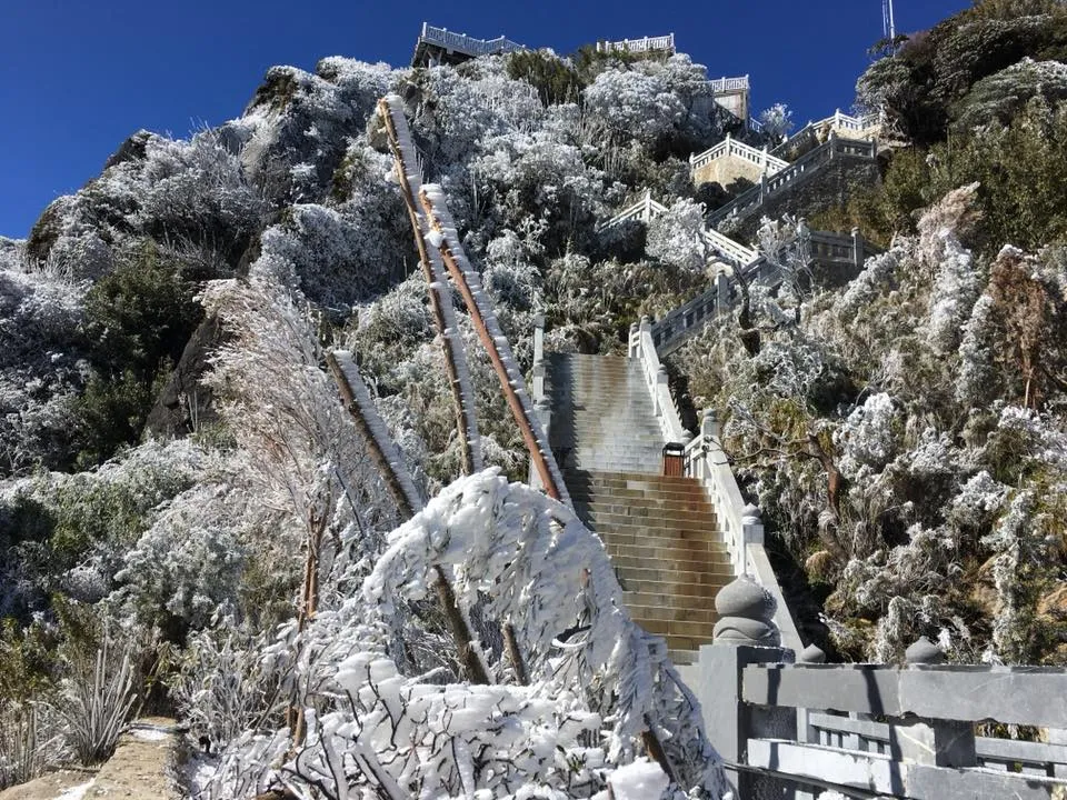 Ngắm băng tuyết phủ trắng đỉnh Fansipan ảnh 10