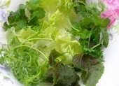 Phát hiện giun lạ sống trong mắt người ảnh 1 Rau sống ngâm nước muối loãng an toàn đến đâu?