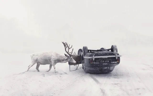 Giải quốc gia - giải nhất nhóm ảnh Cộng hòa Séc - tác giả Martin Stranka