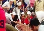 Phạt thầy lang phá thai bằng que nứa 50 triệu đồng ảnh 1 Bộ Y tế vào cuộc vụ phá thai bằng que nứa