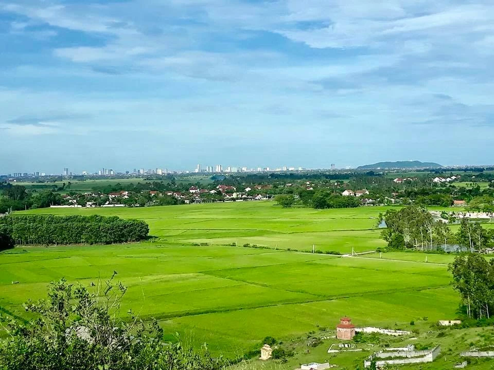 Ngôi làng có 99 con vịt trời luôn ghé thăm vào tháng 9 ảnh 3