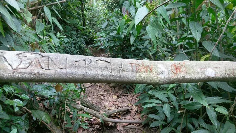 Khắc tên vào đá, sự lưu danh xuẩn ngốc ảnh 3