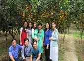 Giáp Tết 'phượt' Đồng Tháp ghé vườn quýt hồng Lai Vung ảnh 5 Đồng Tháp: Sắp có sản phẩm du lịch nông nghiệp sạch
