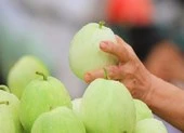 Những sai lầm nguy hiểm khi giải nhiệt mùa nóng ảnh 4 Trời nắng nóng, ăn 5 món này cơ thể sẽ được làm mát