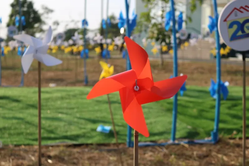 Độc đáo khu vườn chong chóng hơn 5.000 chiếc ở làng đại học ảnh 3