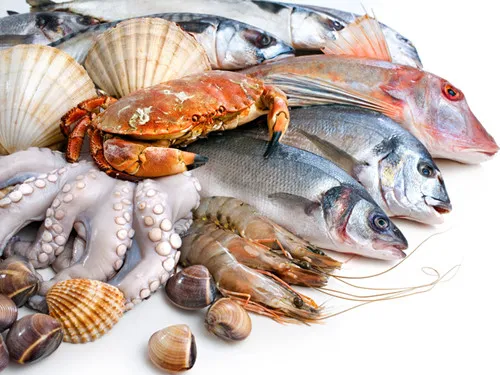 Hải sản cá thu, cá ngừ, tôm, tép, ốc, nhộng, ...dễ gây sốc phản vệ