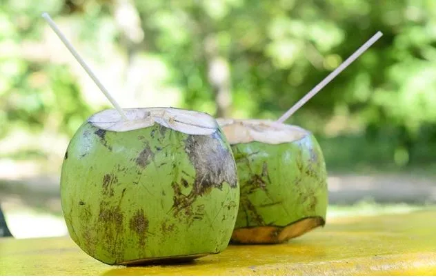 Sốt xuất huyết có được uống nước dừa? (Ảnh minh họa) Sốt xuất huyết có được uống nước dừa