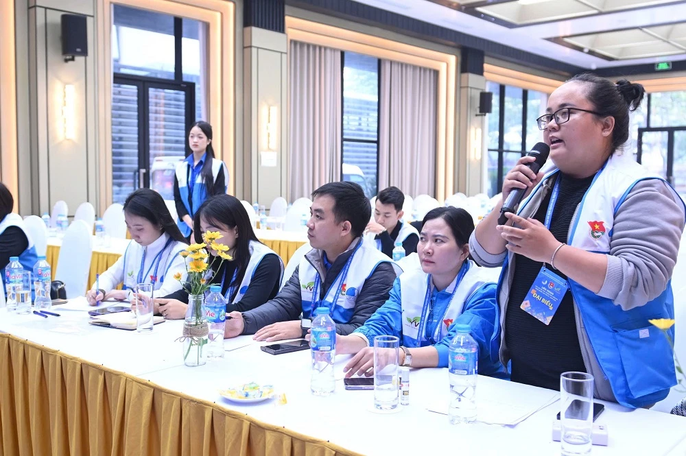 hoạt động tình nguyện năm 2024