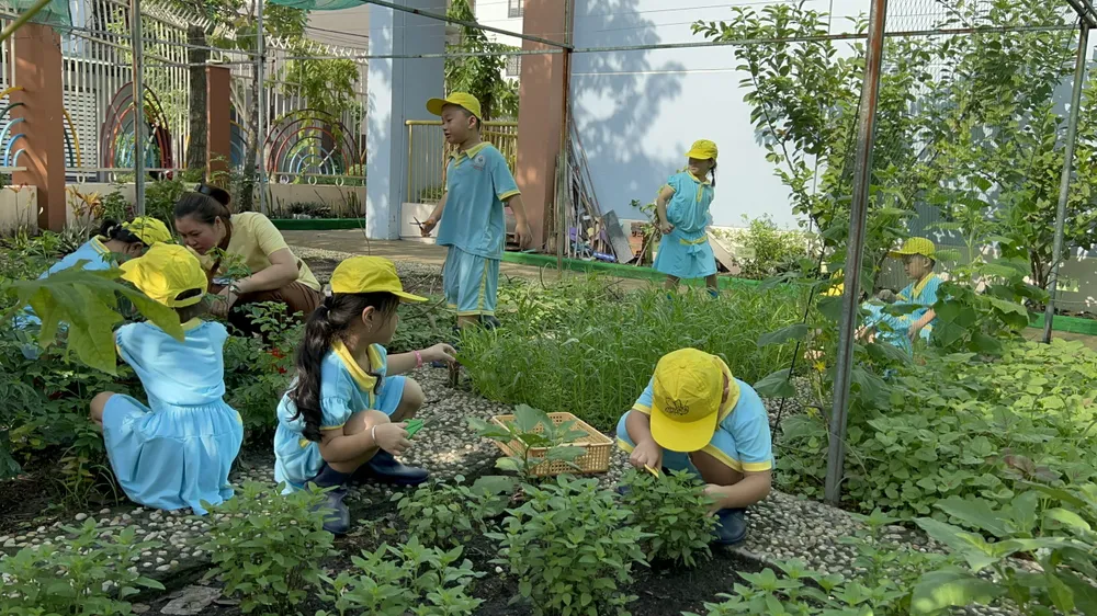 trường mầm non 30-4