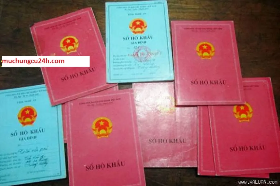 Hộ khẩu - một thời khốn khổ ảnh 2