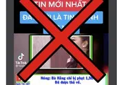 Giải đáp 9 thắc mắc pháp lý quanh vụ bà Nguyễn Phương Hằng bị bắt ảnh 6 Công an TP.HCM sẽ làm rõ kẻ tung tin giả 'bà Phương Hằng bị phạt 1,5 triệu'