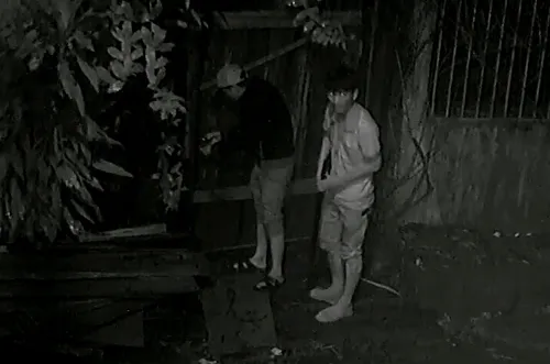 Camera ghi hình 4 thanh niên lái ô tô đi ăn trộm gỗ trong đêm ảnh 2