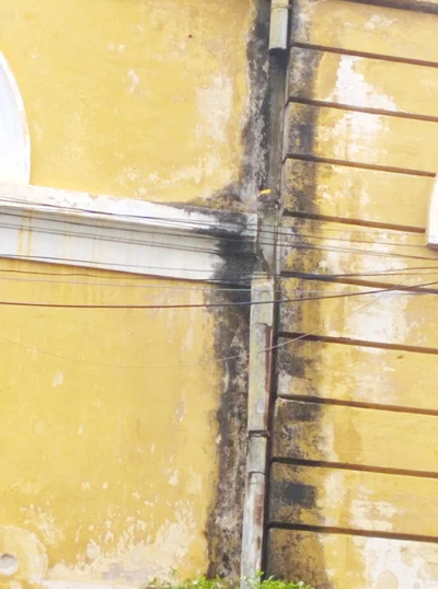 Toà án TP.HCM sắp trùng tu sau gần 20 năm chuẩn bị ảnh 5