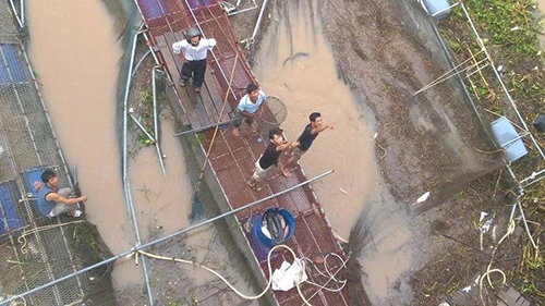 Đổ xô đi câu hàng trăm tấn cá bị sổng trên sông Kinh Thầy ảnh 1