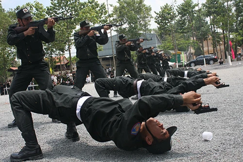 Xem cảnh sát cơ động Bình Dương trình diễn võ thuật ảnh 3