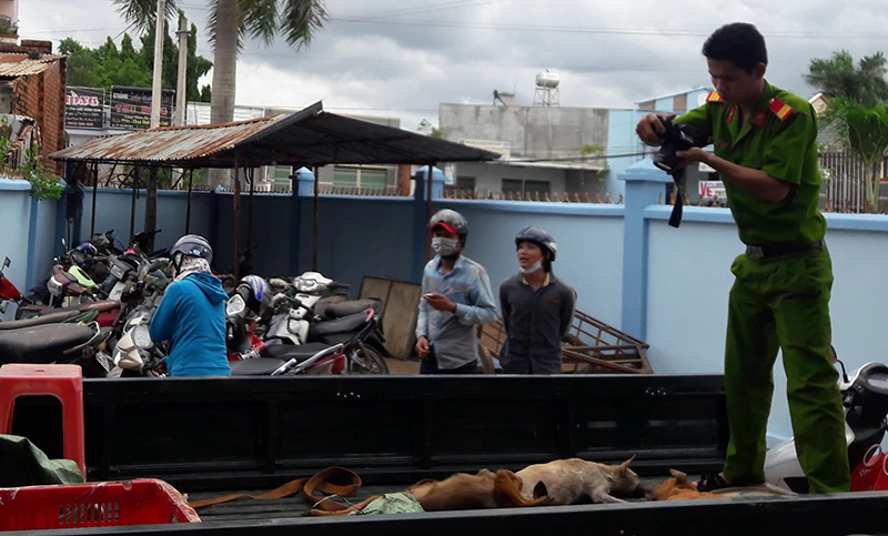 Công an kiểm tra số chó mà nghi can Phương trộm