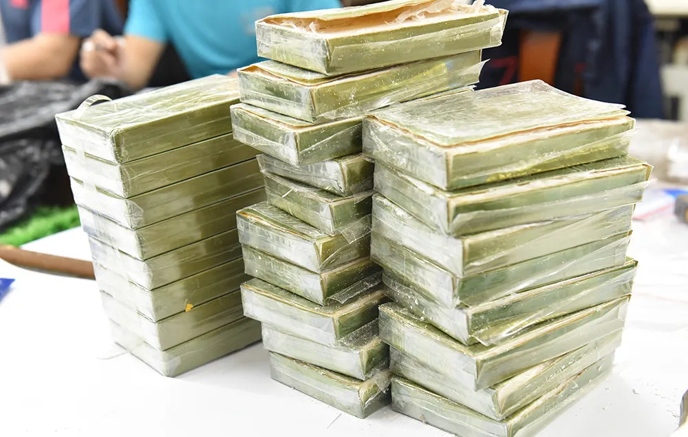 Bộ trưởng biểu dương ban chuyên án bắt 130 bánh heroin ảnh 2