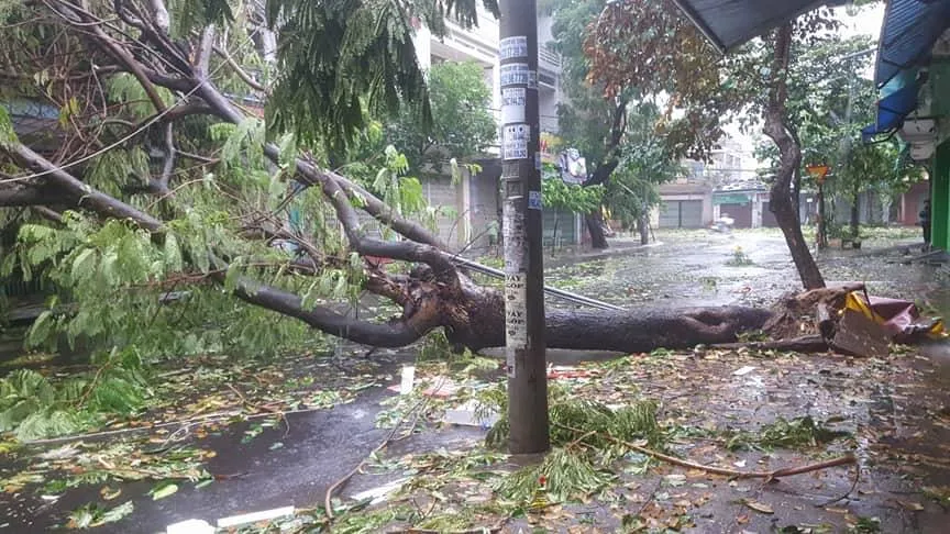 Bão 12 làm 37 người chết, mất tích, hỏng gần 24.000 nhà ảnh 21 Bão 12 làm 37 người chết, mất tích, hỏng gần 24.000 nhà ảnh 21