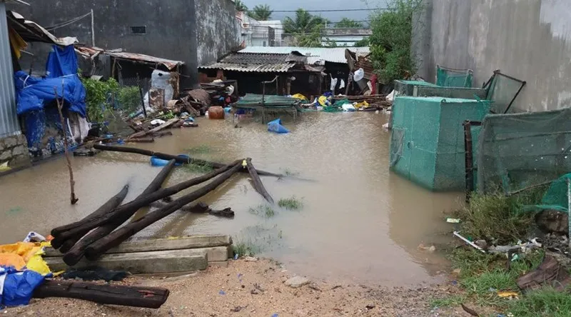 Bão 12 làm 37 người chết, mất tích, hỏng gần 24.000 nhà ảnh 2 Bão 12 làm 37 người chết, mất tích, hỏng gần 24.000 nhà ảnh 2