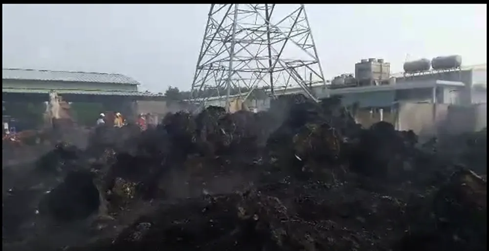 Đám cháy trùm lên lưới cao thế, toàn Vũng Tàu mất điện ảnh 4 Đám cháy trùm lên lưới cao thế, toàn Vũng Tàu mất điện ảnh 4