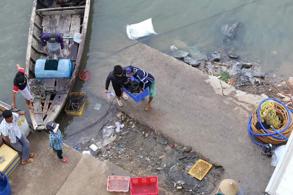 Dân làng bè Long Sơn vẫn chưa rời khu vực để tránh bão số 9 ảnh 4