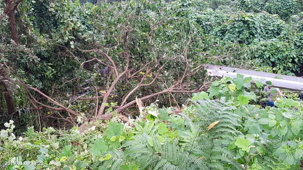 Xe khách rơi trên đèo Hải Vân, 21 sinh viên bị nạn ảnh 4 Xe khách rơi trên đèo Hải Vân, 21 sinh viên bị nạn ảnh 4