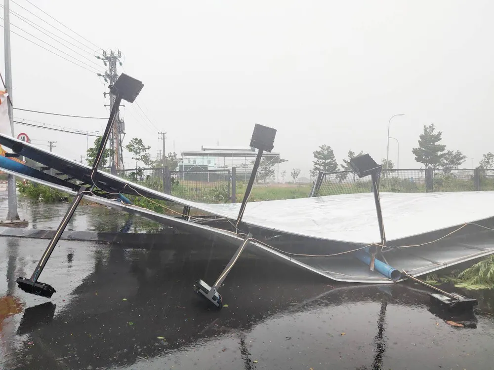 Bão số 12 đã gây thiệt hại tại Phú Yên, Khánh Hòa ảnh 4