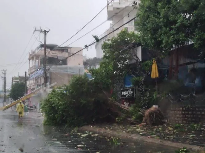 Bão số 12 đã gây thiệt hại tại Phú Yên, Khánh Hòa ảnh 5