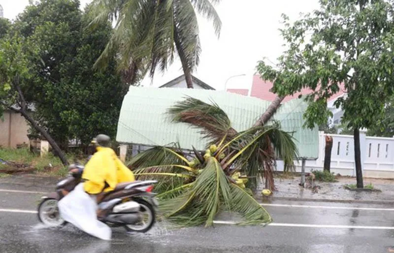 Bão số 12 đã gây thiệt hại tại Phú Yên, Khánh Hòa ảnh 6
