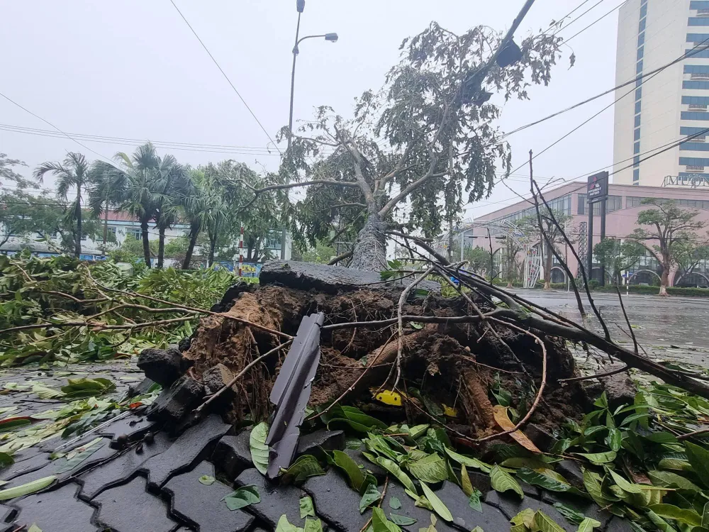 Bão số 4: Đã đổ bộ đất liền, Đà Nẵng- Quảng Nam bị bão quật tơi tả ảnh 49