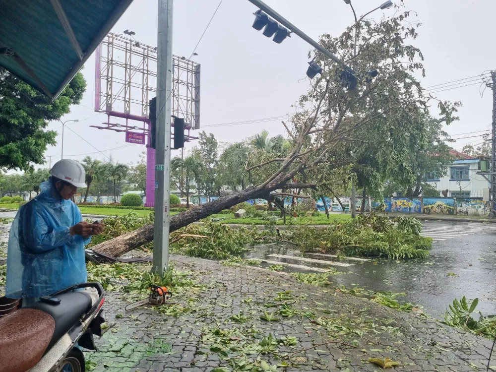 Bão số 4: Đã đổ bộ đất liền, Đà Nẵng- Quảng Nam bị bão quật tơi tả ảnh 48