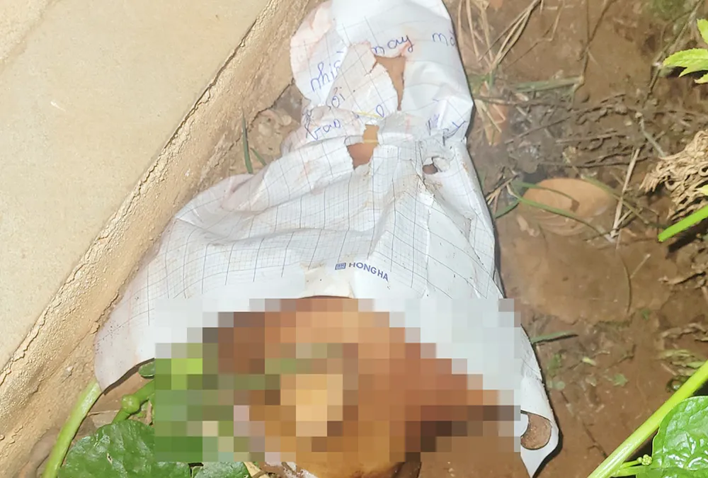 Đầu chó ném vào nhà riêng của PV Tạ Vĩnh Y, kèm tờ giấy có nội dung đe dọa. Ảnh: LK Đầu chó ném vào nhà riêng của PV Tạ Vĩnh Y, kèm tờ giấy có nội dung đe dọa. Ảnh: LK