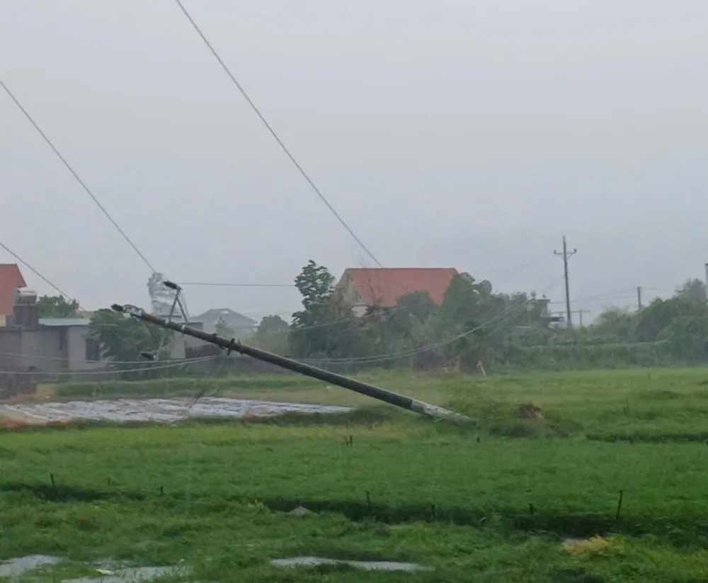 Cột điện gãy đổ ở Quảng Ninh mat-dien.jpg