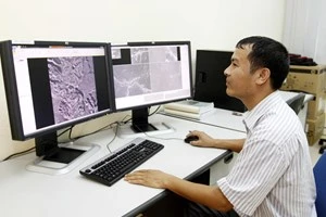 Vệ tinh VNRedsat -1 chụp ảnh vùng nghi vấn máy bay mất tích ảnh 1