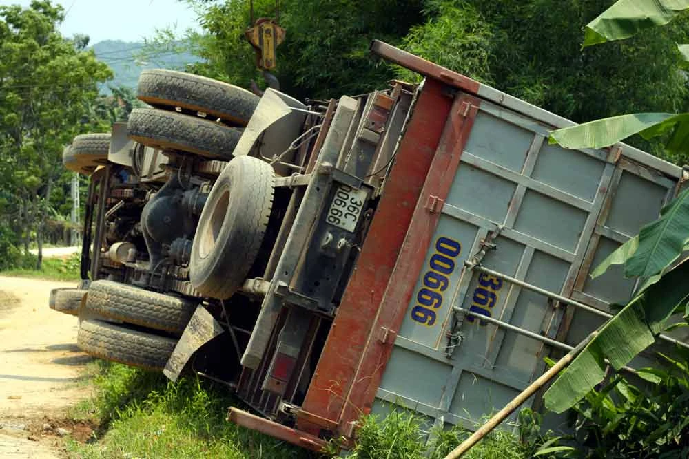 Xe lật, hàng trăm... con heo rơi xuống ao ảnh 3