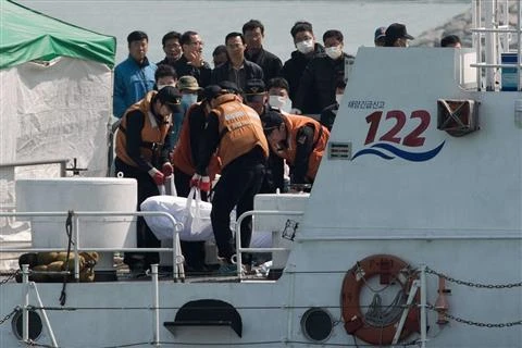 Nỗi ám ảnh kinh hoàng của những thợ lặn tìm xác trong phà chìm Hàn Quốc ảnh 1