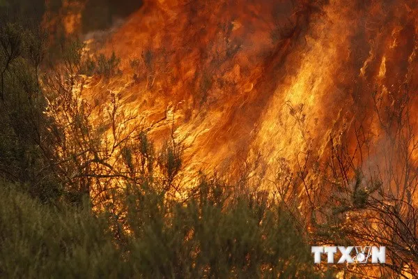 21 người thiệt mạng do cháy viện điều dưỡng ở Hàn Quốc ảnh 1 21 người thiệt mạng do cháy viện điều dưỡng ở Hàn Quốc ảnh 1