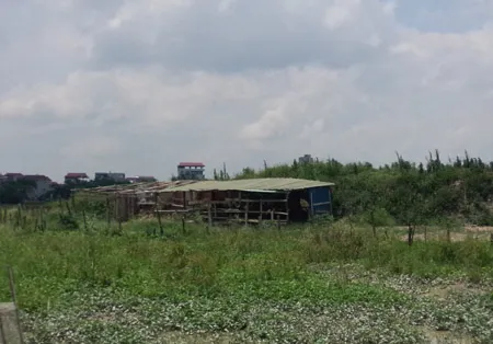 âm mưu, tàn độc, đánh bả chó, giết người, vợ nhân tình, Hoài Đức, Hà Nội