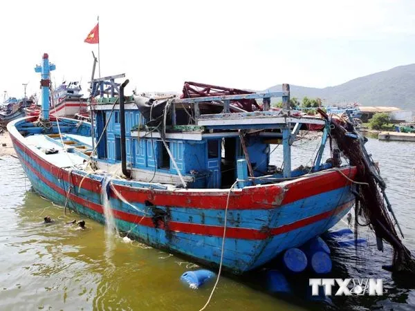 Hội Nghề cá Việt Nam phản đối Trung Quốc bắt giữ 6 ngư dân và tàu cá ảnh 1