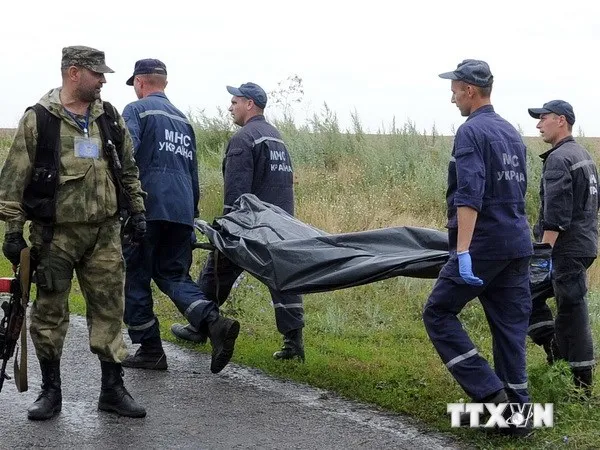 Tìm được 251 thi thể trong vụ rơi máy bay MH17 ảnh 1 Tìm được 251 thi thể trong vụ rơi máy bay MH17 ảnh 1
