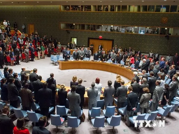 Hội đồng Bảo an hoàn tất dự thảo nghị quyết vụ rơi máy bay MH17 ảnh 1 Hội đồng Bảo an hoàn tất dự thảo nghị quyết vụ rơi máy bay MH17 ảnh 1