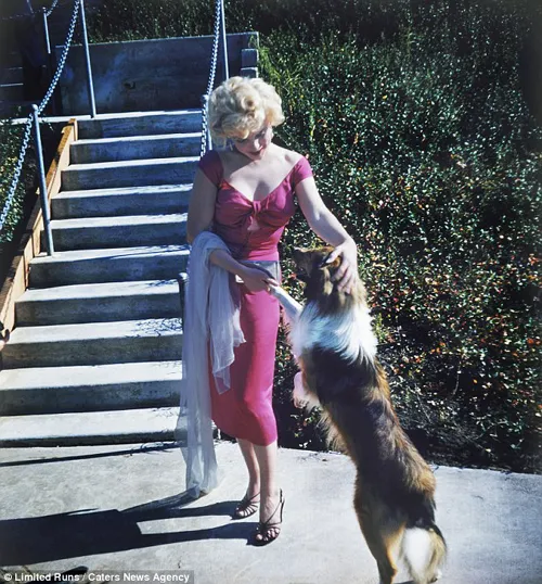 Những bức ảnh chưa từng được công bố của Marilyn Monroe ảnh 5