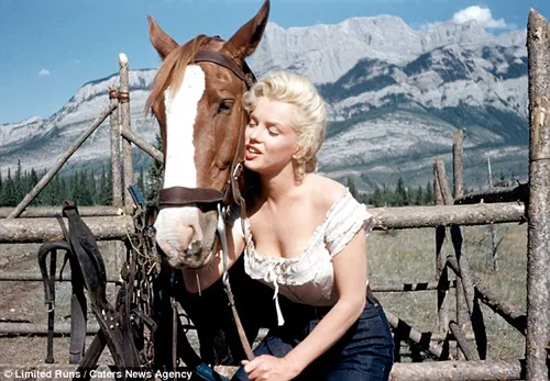 Những bức ảnh chưa từng được công bố của Marilyn Monroe ảnh 8 Những bức ảnh chưa từng được công bố của Marilyn Monroe ảnh 8