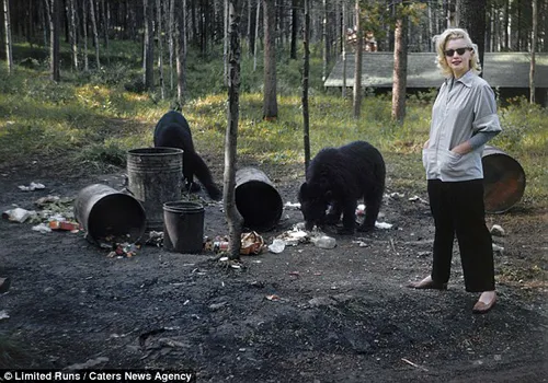 Những bức ảnh chưa từng được công bố của Marilyn Monroe ảnh 7