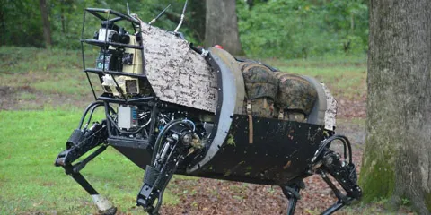 tập trận, RIMPAC, Thủ quân Lục chiến