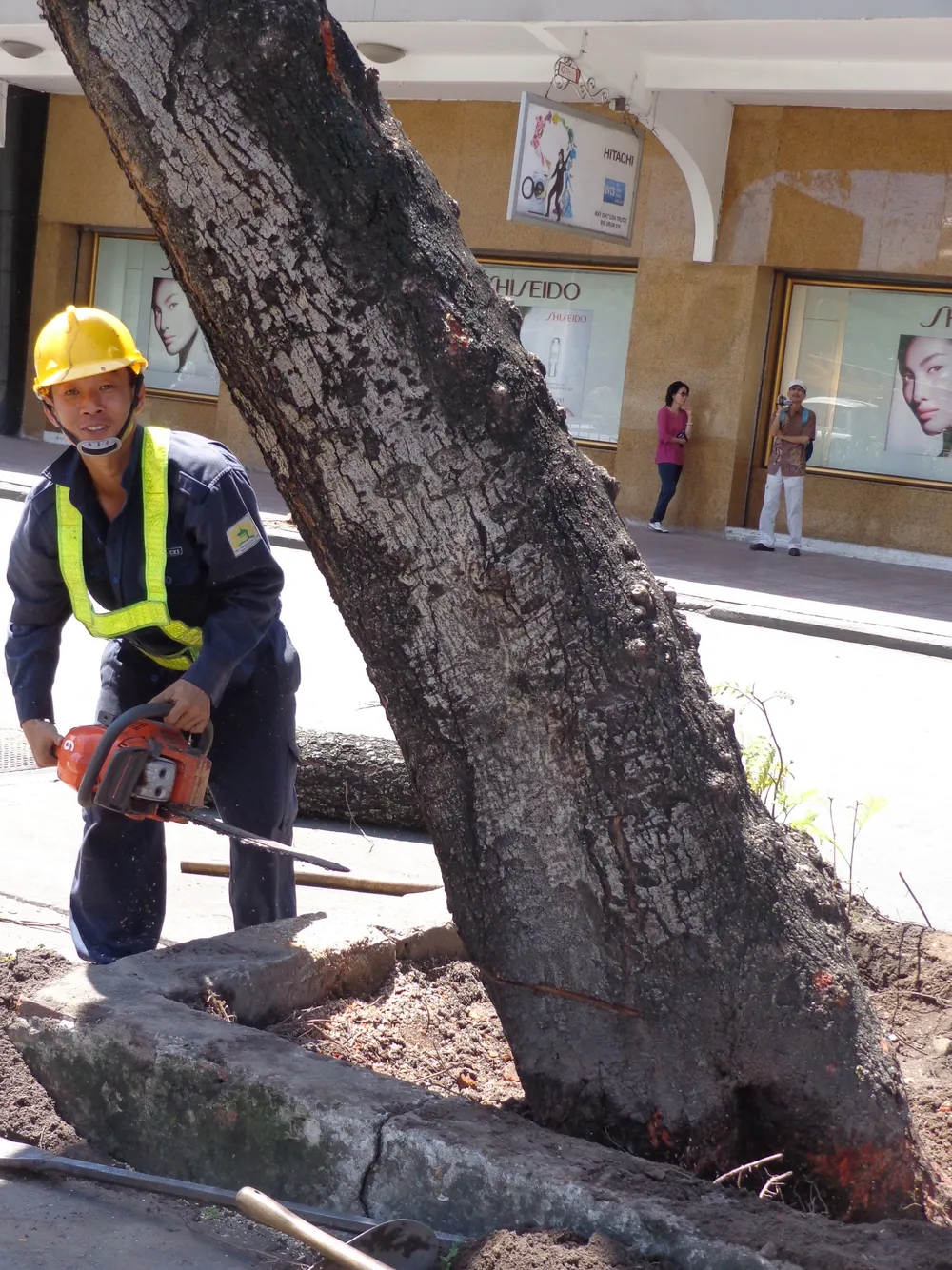 Thư ảnh gửi em Cali: Xao xuyến chia tay hàng cây Sài Gòn ảnh 5