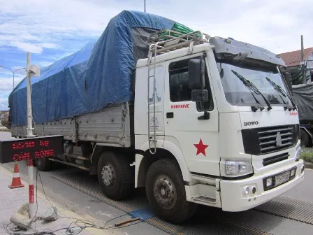 Đoàn xe chở gỗ siêu khủng bị bắt giữ