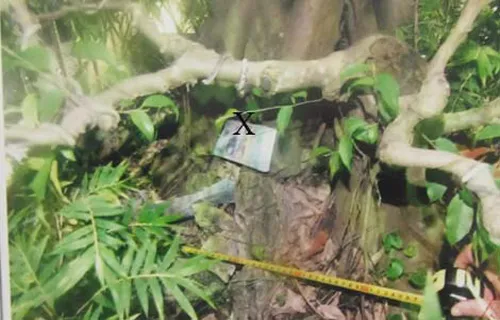 Hai bọc tiền tang vật Hải giấu trong chậu cảnh ở sảnh tầng hai trụ sở làm việc. AB-8042-1407991499.jpg