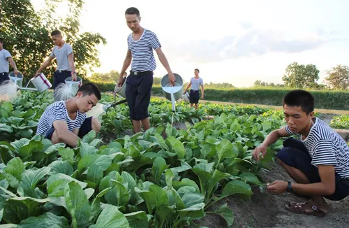 Nghe cán bộ nói về truyền thống của Quân đội, Quân chủng Hải quân và đơn vị. Tập thể dục buổi sáng là một trong những bài tập rèn sức khỏe đầu tiên để làm nền móng tập luyện sức khỏe đi biển sau này. Học gấp, xếp đặt nội vụ cá nhân là góp phần xây dựng đơn vị chính quy. Học cách trồng và chăm sóc rau xanh để tự bảo đảm, nâng cao đời sống vật chất. Đọc báo, nghe tin để nâng cao nhận thức chính trị và cũng là một chế độ trong ngày của mỗi quân nhân.