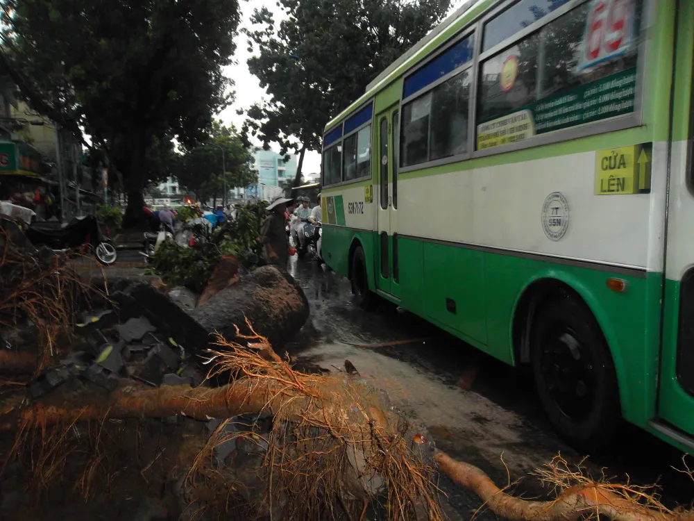 TP.HCM: Hình ảnh đẹp của anh CSGT ảnh 11